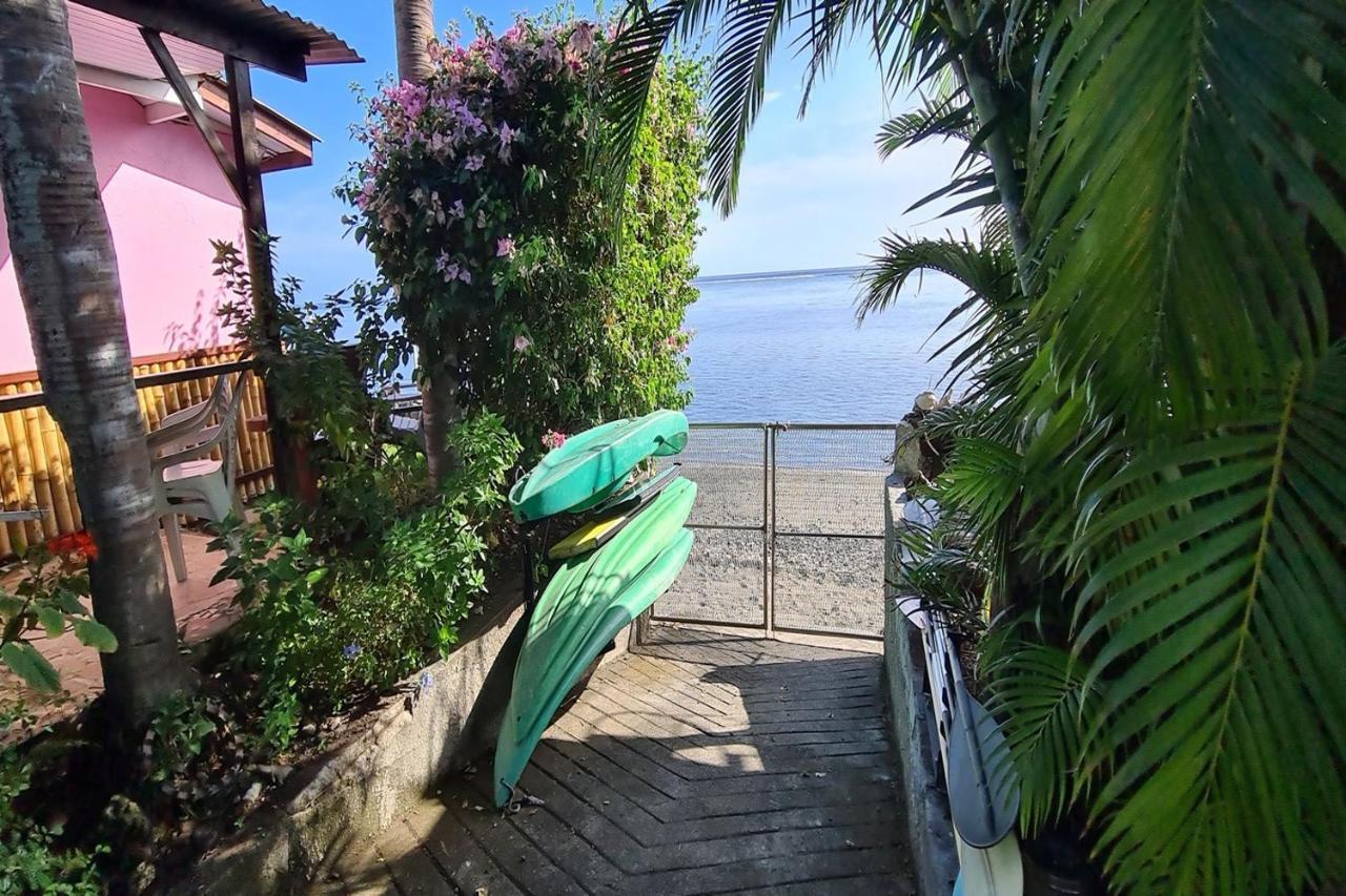 La Maison D'Artiste Du Bord De Mer Pa'ea Bagian luar foto